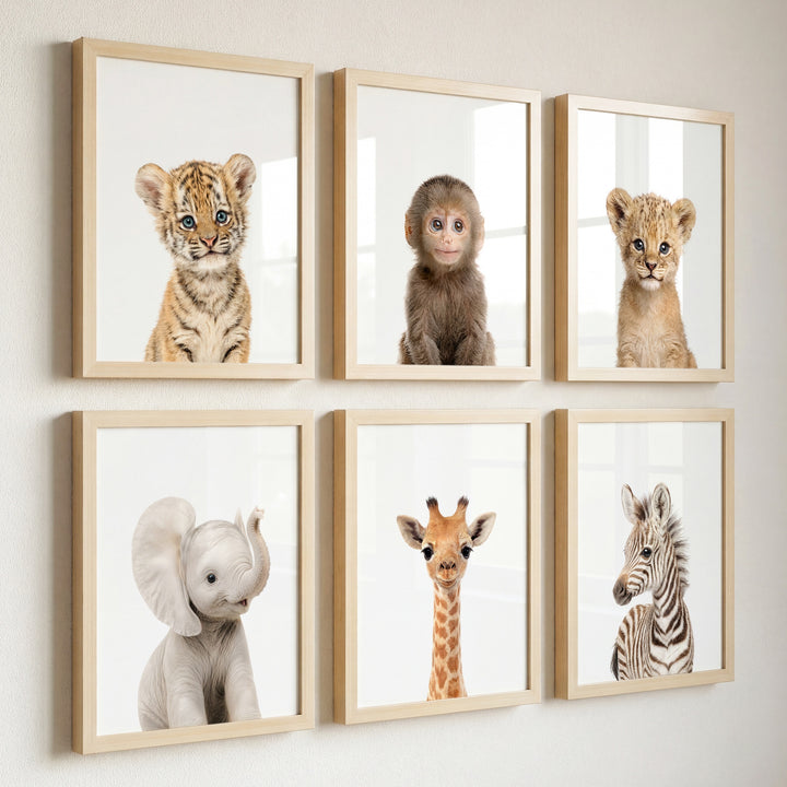 Baby Jungle & Safari Animals Set of 6 Nursery Decor Prints