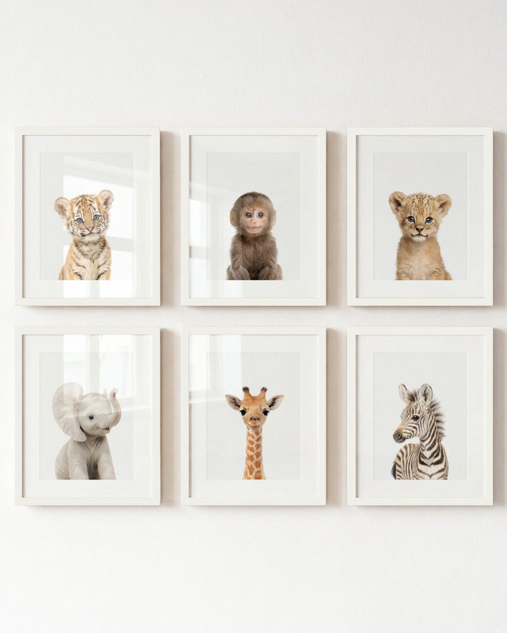Baby Jungle & Safari Animals Set of 6 Nursery Decor Prints