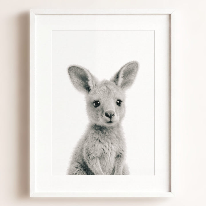 Baby Kangaroo