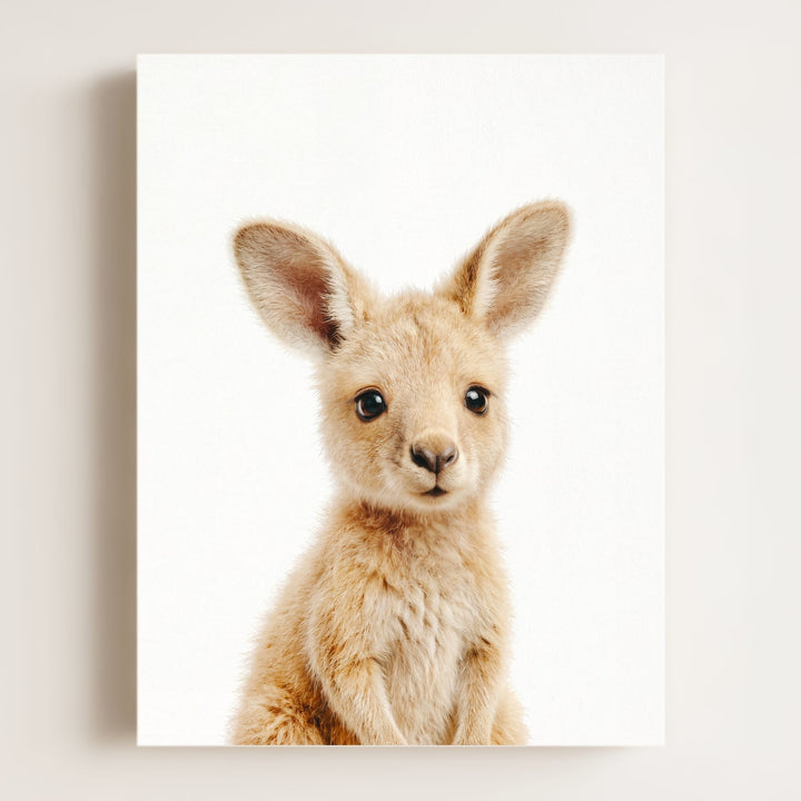 Baby Kangaroo