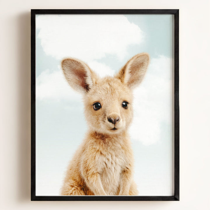 Baby Kangaroo