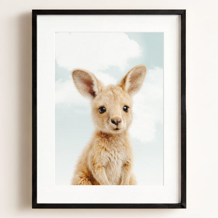 Baby Kangaroo