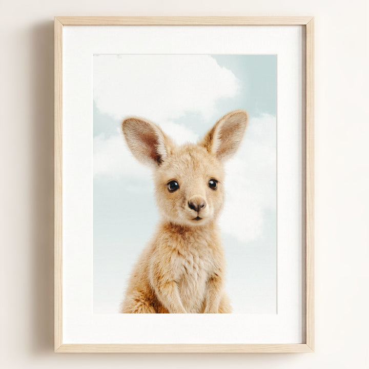 Baby Kangaroo