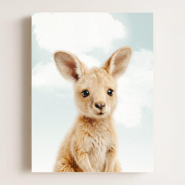 Baby Kangaroo