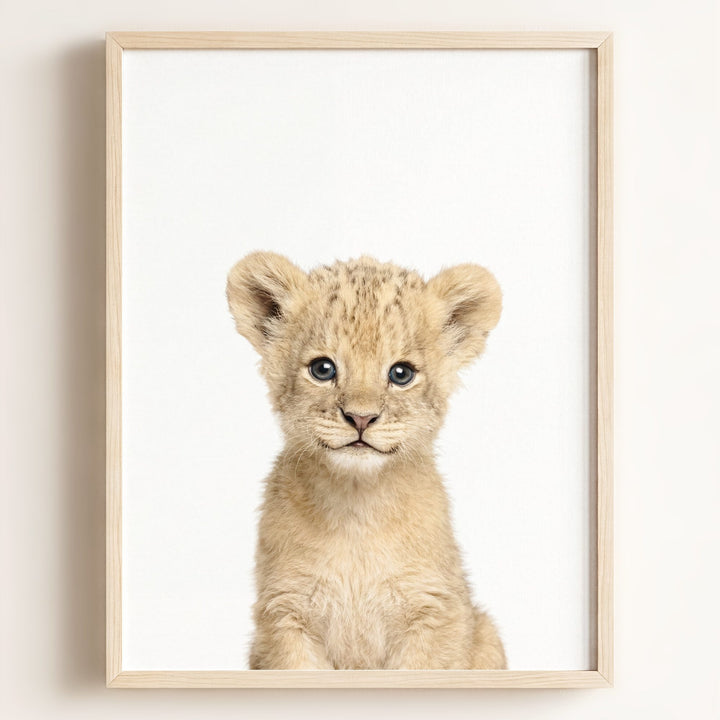 Baby Lion