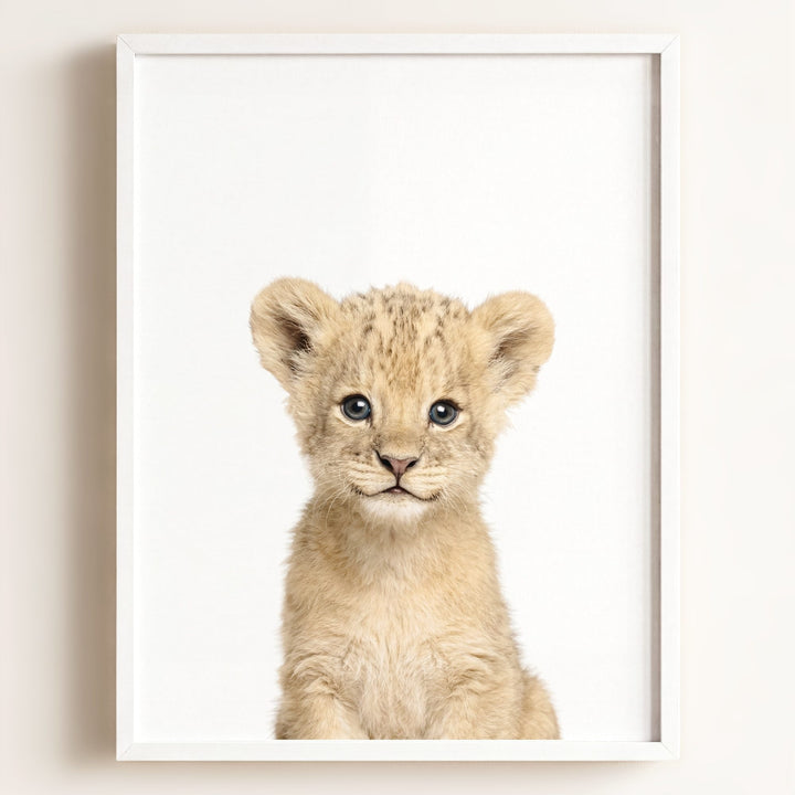 Baby Lion