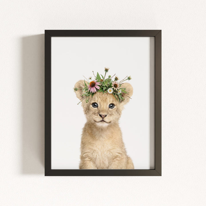 Baby Lion