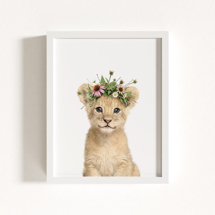 Baby Lion
