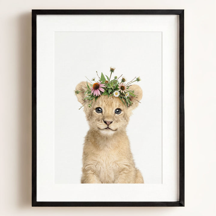 Baby Lion