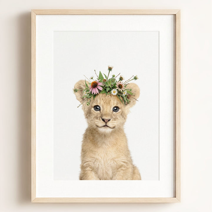 Baby Lion