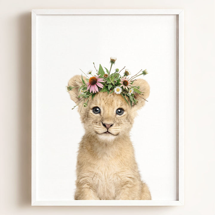 Baby Lion