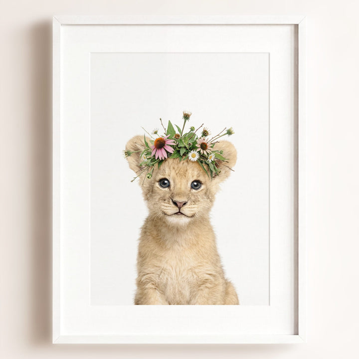 Baby Lion