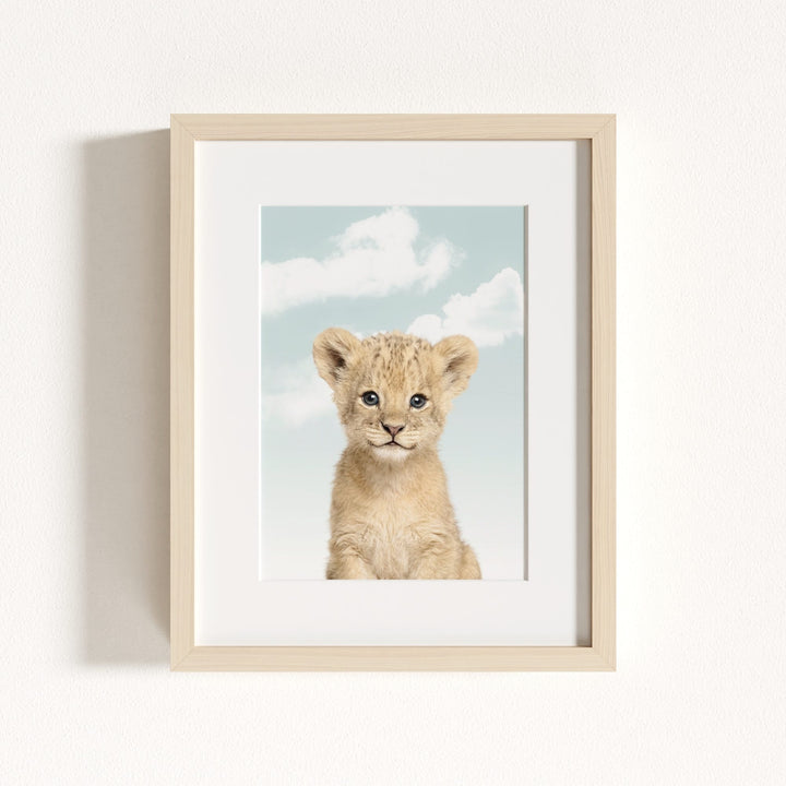 Baby Lion