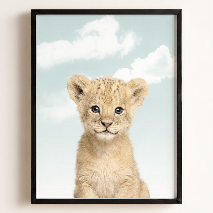 Baby Lion