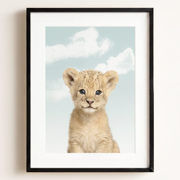 Baby Lion