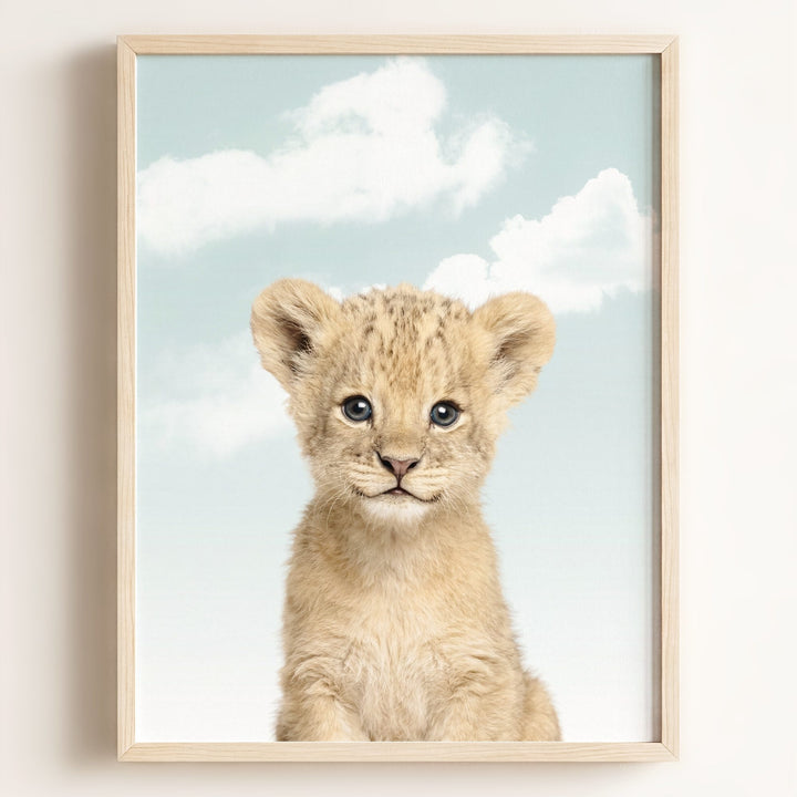 Baby Lion