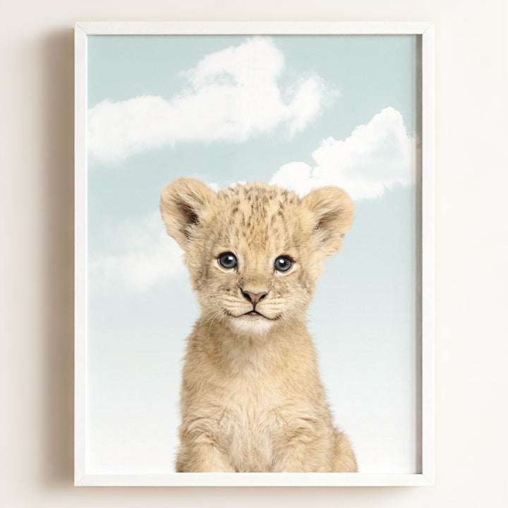 Baby Lion