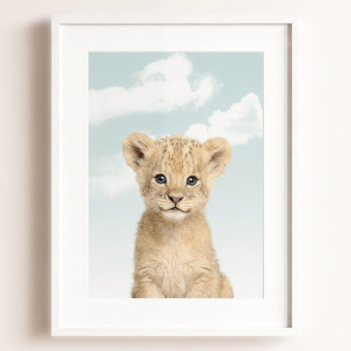 Baby Lion