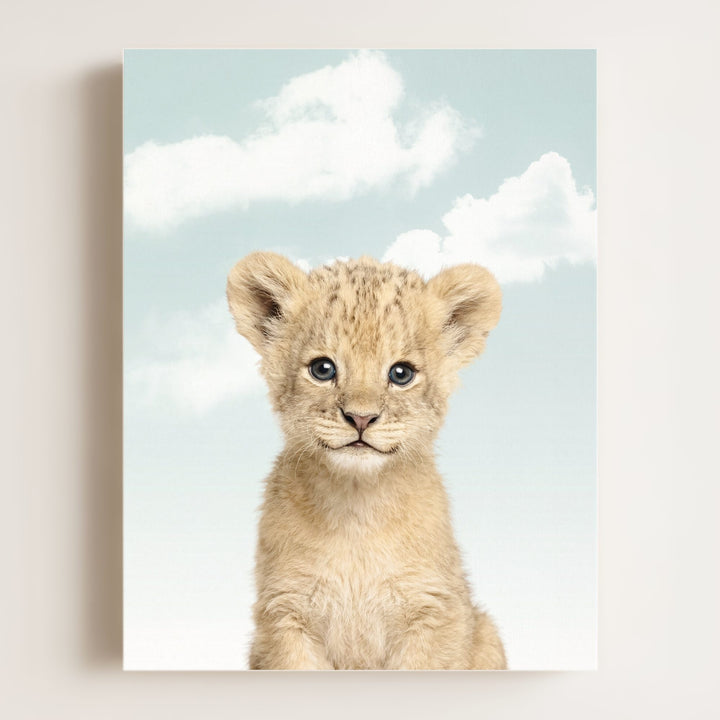 Baby Lion