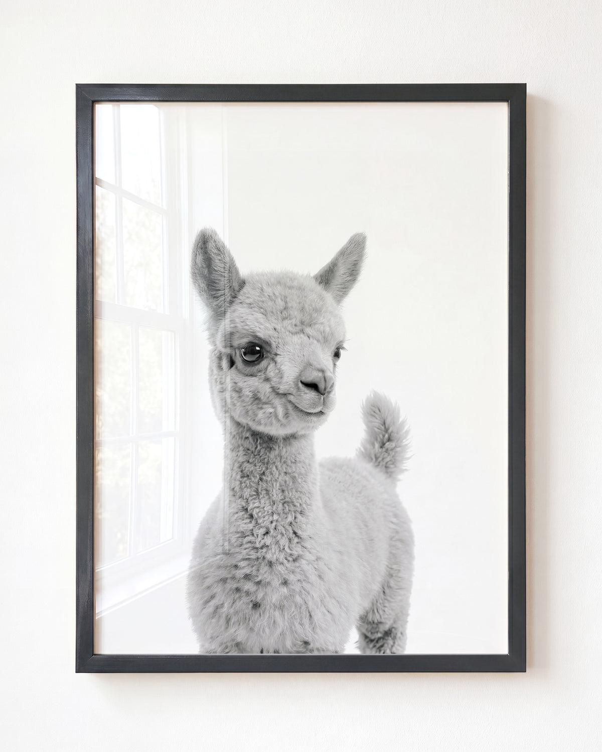 Baby Llama