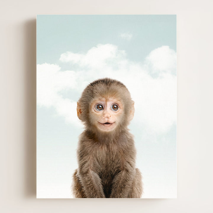 Baby Monkey