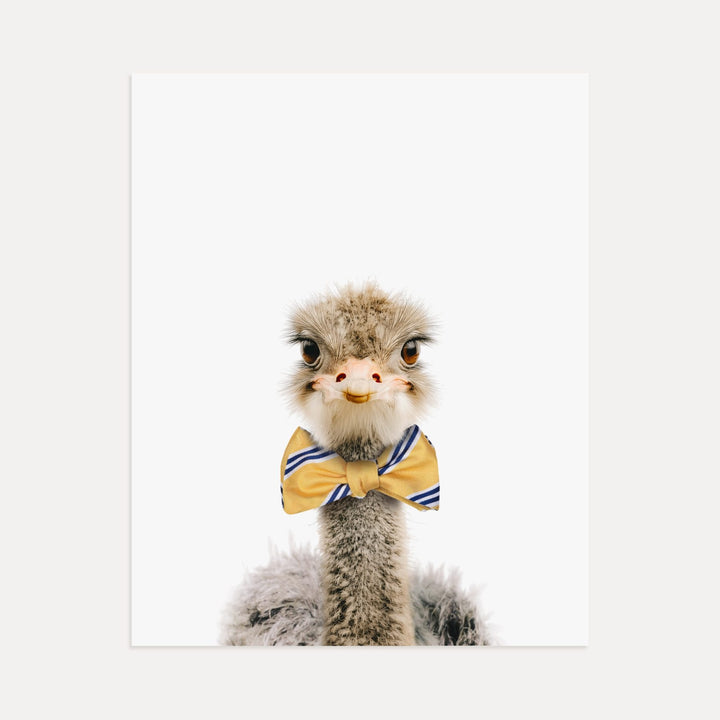 Baby Ostrich