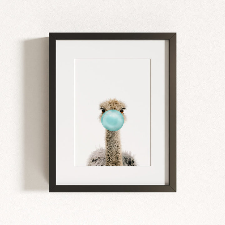 Baby Ostrich