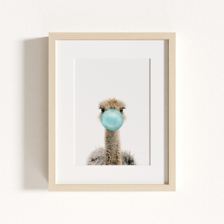Baby Ostrich