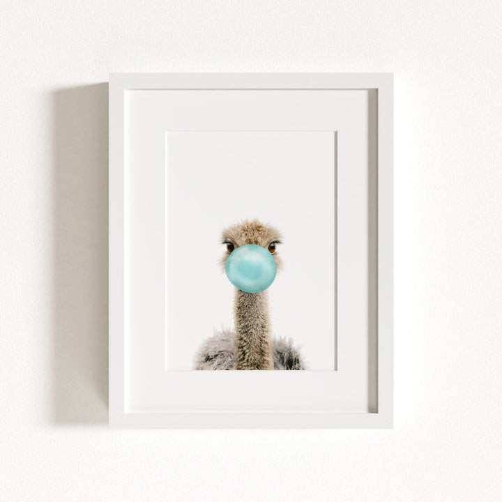 Baby Ostrich