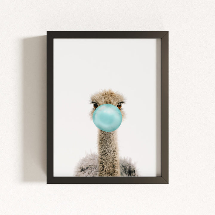 Baby Ostrich