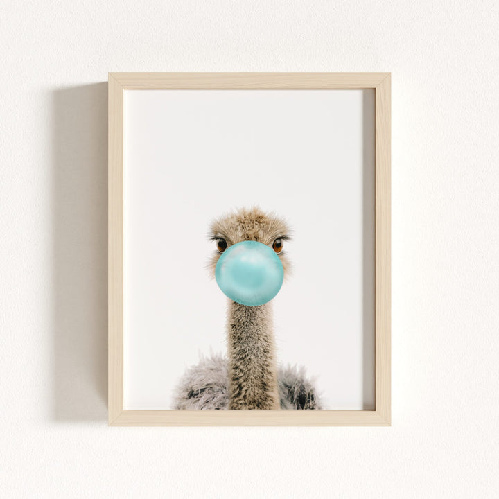 Baby Ostrich