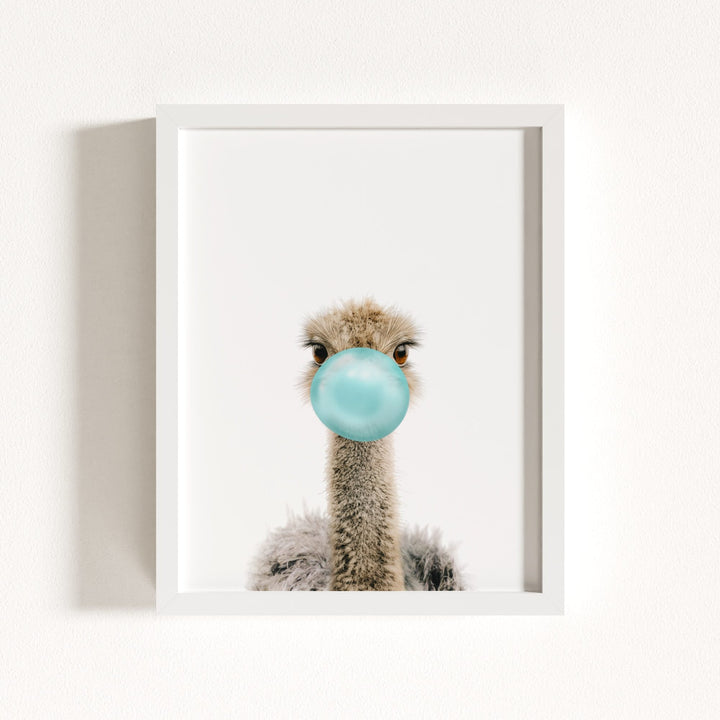 Baby Ostrich