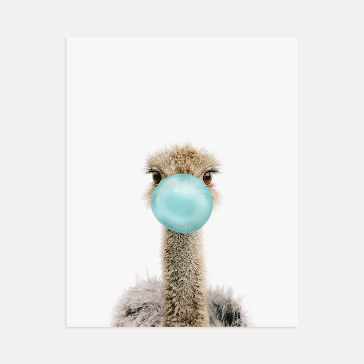 Baby Ostrich