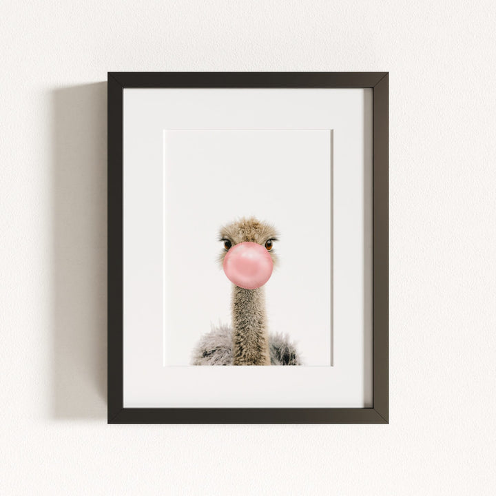 Baby Ostrich