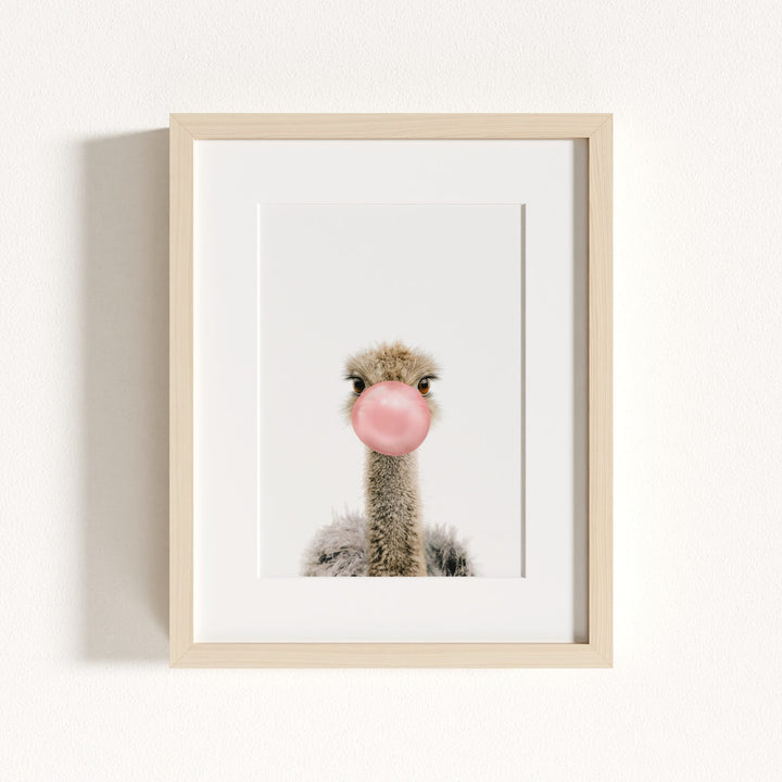 Baby Ostrich