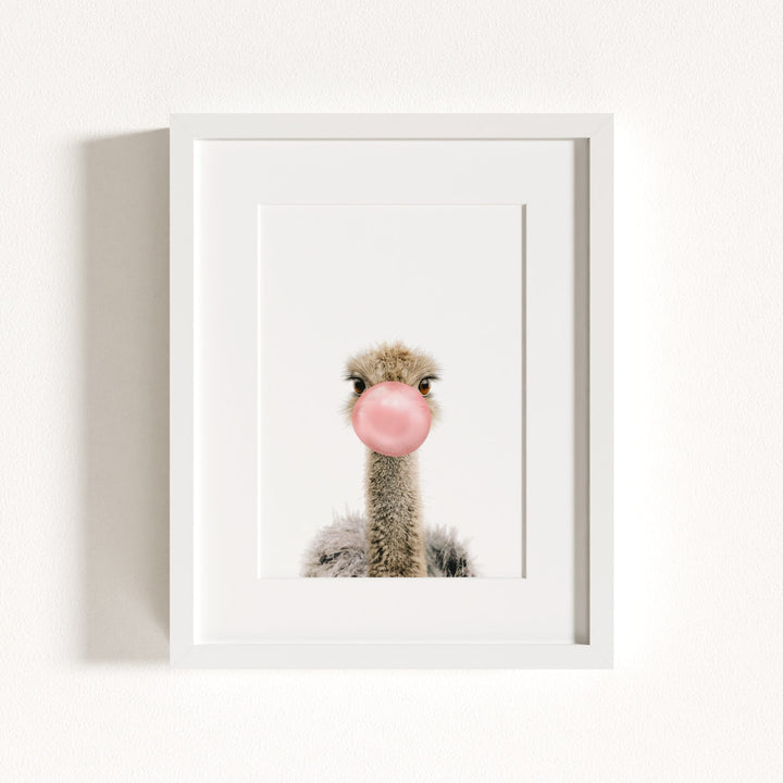 Baby Ostrich