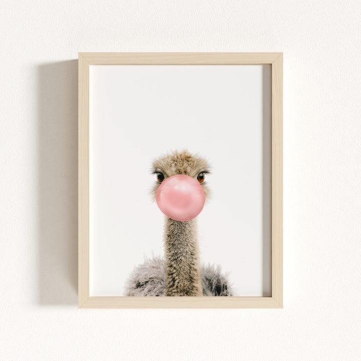 Baby Ostrich
