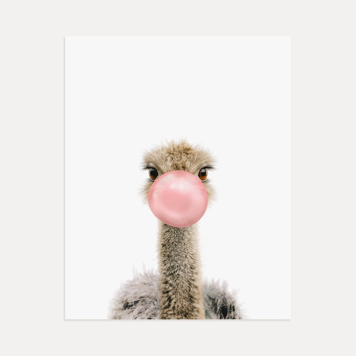 Baby Ostrich