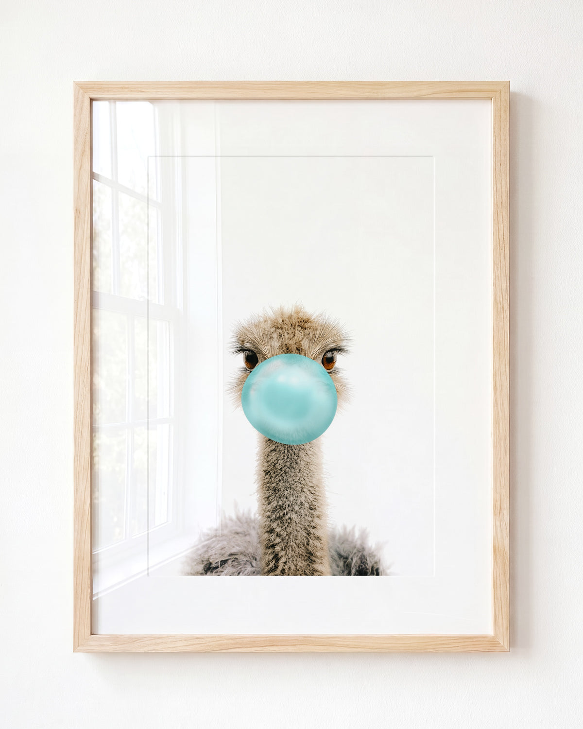Baby Ostrich