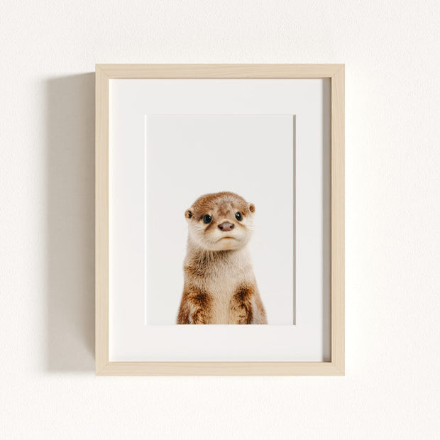 Baby Otter