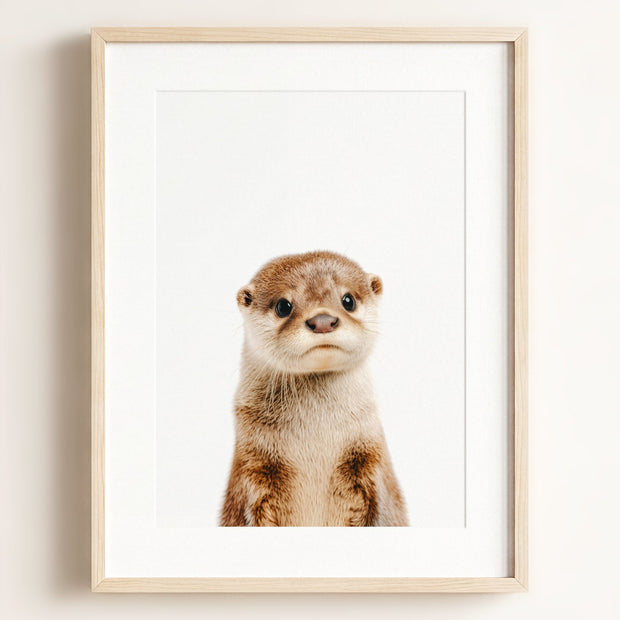 Baby Otter