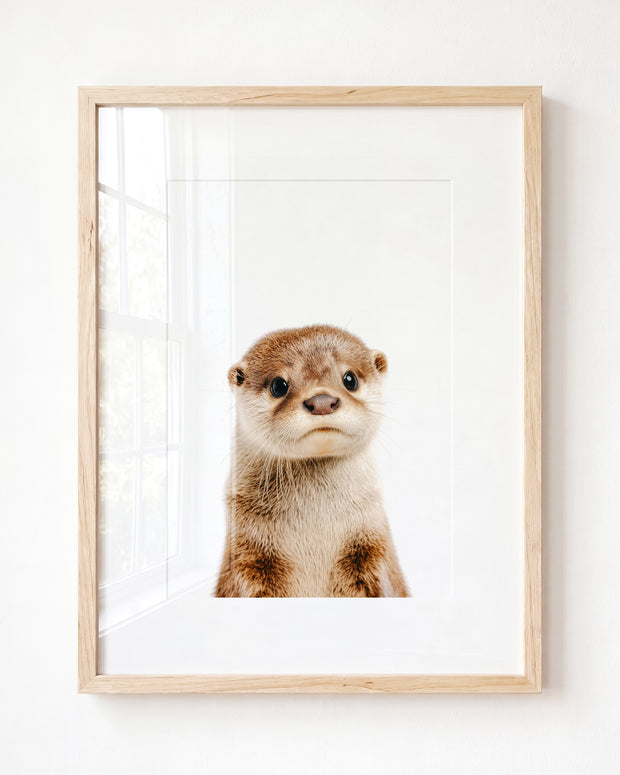 Baby Otter