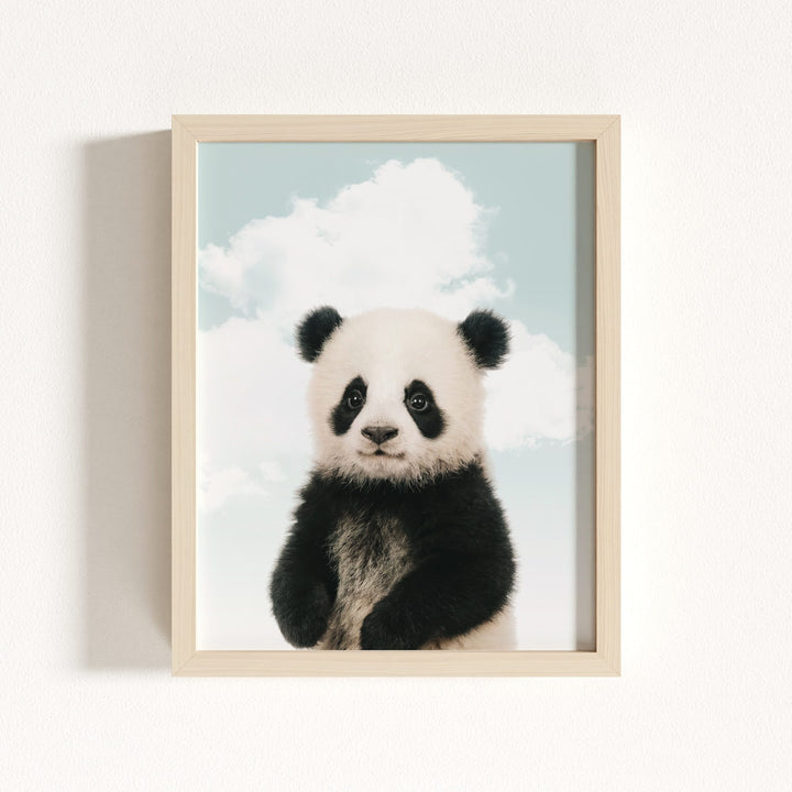 Baby Panda