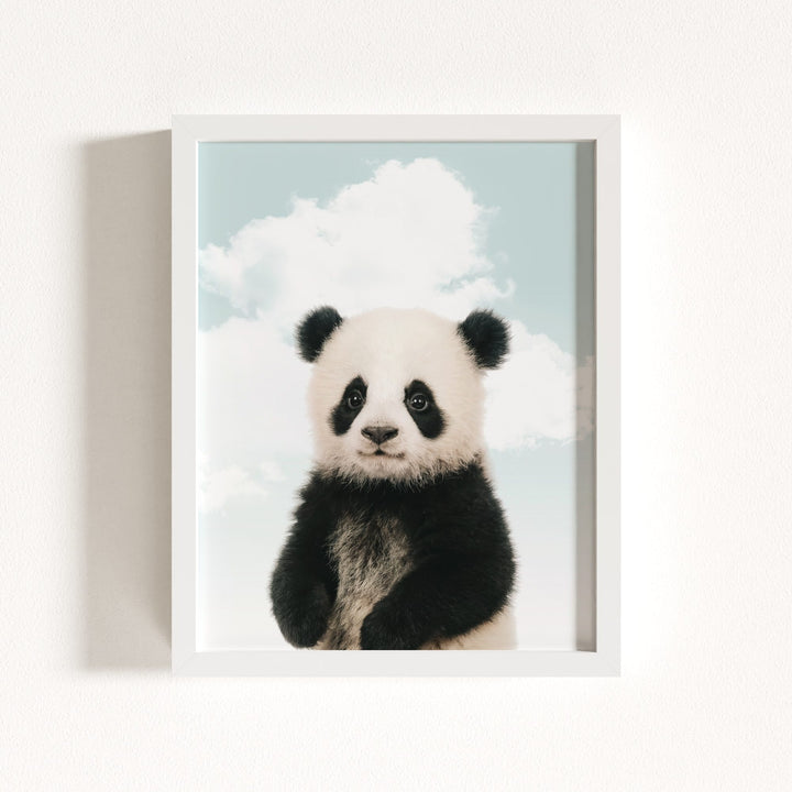 Baby Panda