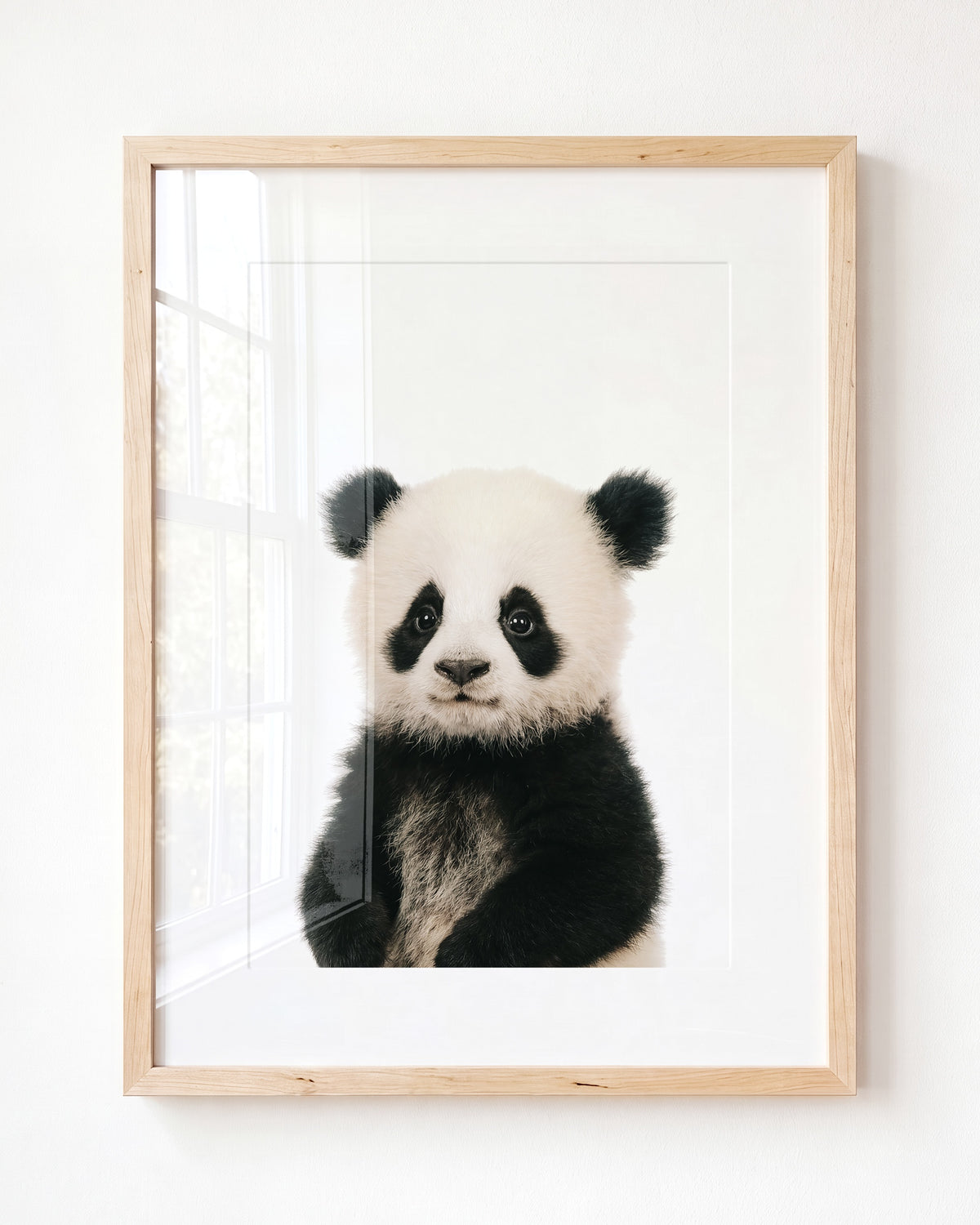 Baby Panda