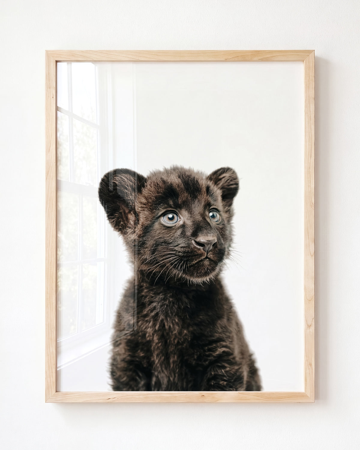 Baby Panther — Framed