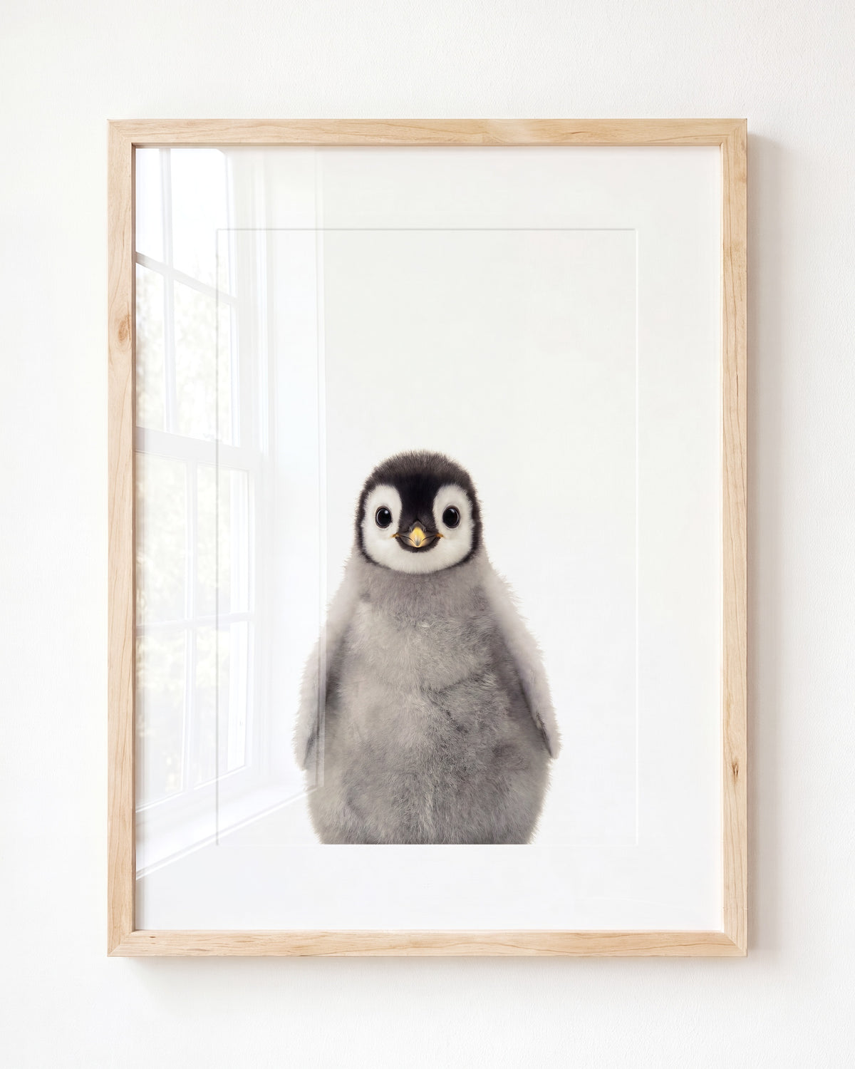 Baby Penguin