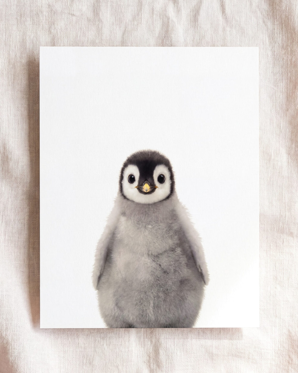 Baby Penguin