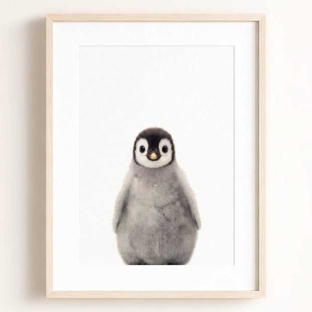 Baby Penguin