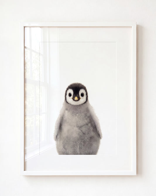Baby Penguin — Framed Art